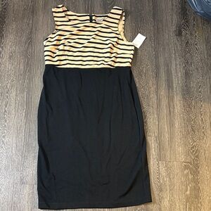 Striped Black and Tan Dress